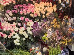 -越秀西湖花市(广州城市广场花卉店)
