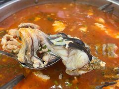 -张氏特色豆花火锅酸汤鱼(江口店)