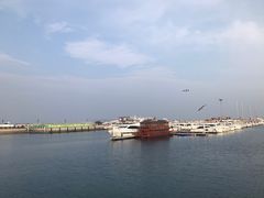 -东港音乐喷泉广场