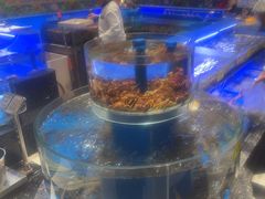 -新海渔港·胶东海鲜家常菜·家宴(奥体中心店)