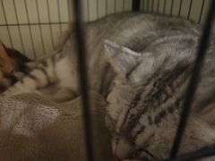 -H立方实景剧情密室(天河旗舰店)