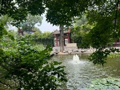 -碑林公园