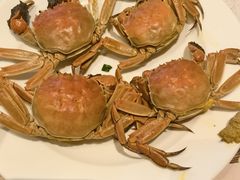 -冀粤香海鲜自助餐厅(西美五洲店)