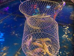 -钳真多钓虾馆·小龙虾海鲜烧烤(九六广场店)