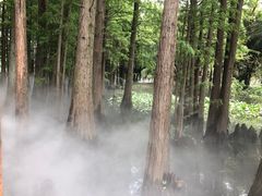 -东湖落雁景区