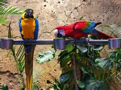 -杭州开元森泊度假乐园