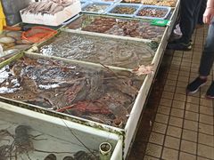 -南沙十九涌渔人码头-南门