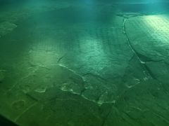-白鹤梁水下博物馆