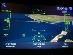 -约翰·菲茨杰拉德·肯尼迪国际机场