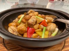 -千灯盛汇·头牌粤菜(致越优城店)