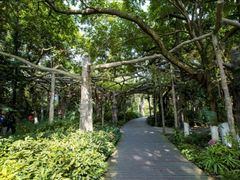 -广西壮族自治区药用植物园