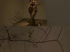 -苏州本色美术馆