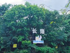 -广州长隆飞鸟乐园