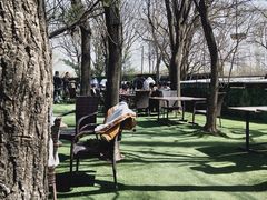 -尚庄度假村·庭台树下·户外烧烤·团建CS·轰趴营地(上庄水库店)