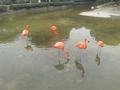 -常州淹城野生动物世界
