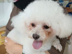 -宠福鑫康馨动物医院·骨科·眼科