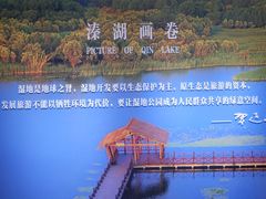 -溱湖国家湿地公园