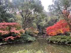 -山外山菜馆(玉泉路店)