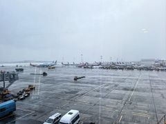 -谢列梅捷沃国际机场