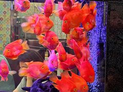 -新辉港式茶餐厅(北栅店)