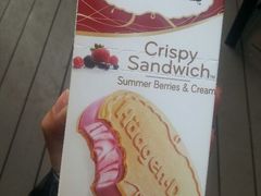 android_upload_pic-哈根达斯(美罗城店)