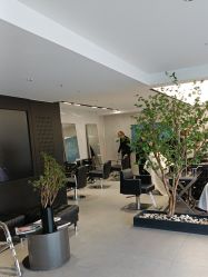 -付军剪艺JF ProSalon