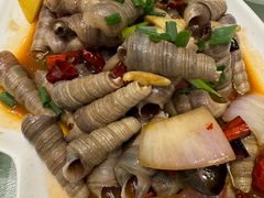 -华盛丰温州大排档(东三环南路店)