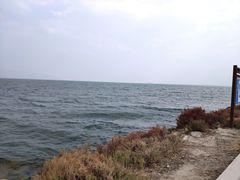 -大理洱海