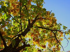 -天津盘山风景名胜区