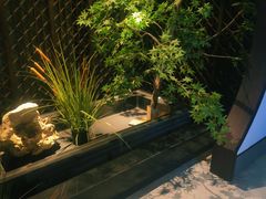 -见康道莱•足浴按摩•艾灸•SPA(友谊店)