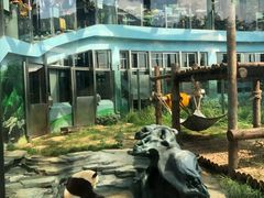 -大连森林动物园