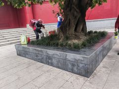 -贺记蛋烘糕(文庙西街店)