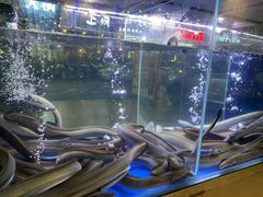 -本炙炭烤·蒲烧活鳗料理店(金沙洲店)