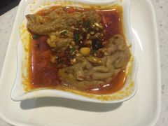 -靓蛙馆