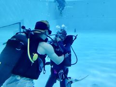 -上海潜殿潜水中心