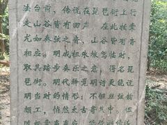 -灵谷景区