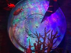 -沈阳海洋探索中心