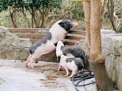 -宁波野生动物园