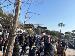 -香雪海