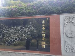 -龙头寺公园