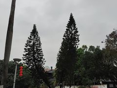 -荔湾湖公园