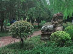 -达活泉公园