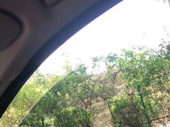 -都江堰玫瑰花溪谷