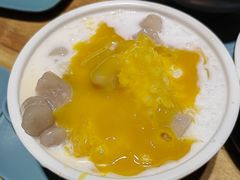 -杨枝金捞甜品(氹仔泉澧店)