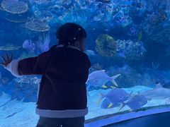 -海合安成都极地海洋公园