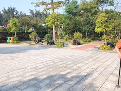 -广东惠东海龟国家级自然保护区