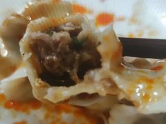 生饺子白菜猪肉-枫林饺子