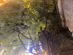 -五悦北平四季涮肉·烧烤(老商埠店)