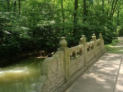 -灵谷景区
