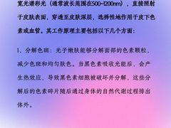 -上海明天广场JW万豪酒店